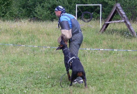 Training in Estonia 6/2007